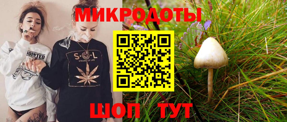 Псилоцибиновые грибы Cubensis Гусев